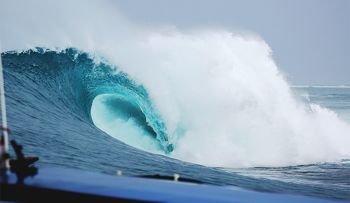 Getting lippy with you. Photo: <a href=\"http://mattdunbar.com.au\">Matt Dunbar</a>