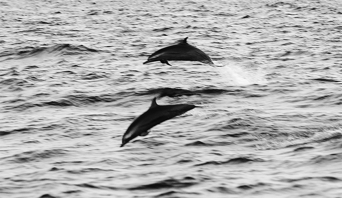 Island hopping. Photo: <a href=\"http://mattdunbar.com.au\">Matt Dunbar</a>