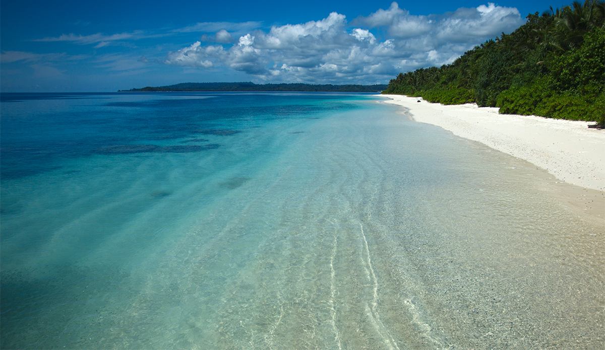 Blues hues. Photo: <a href=\"http://mattdunbar.com.au\">Matt Dunbar</a>