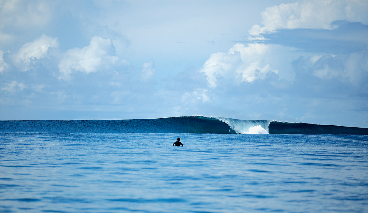 Postcard lineups. Photo: <a href=\"http://mattdunbar.com.au\">Matt Dunbar</a>