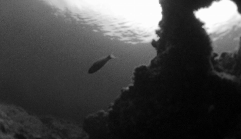 <strong>Kenya.</strong> The underwater world. I spent a few hours diving and swimming in this outer reef. I think the black and white gives an unusual perspective of what it is normally fully coloured. Image: Sbrizzi