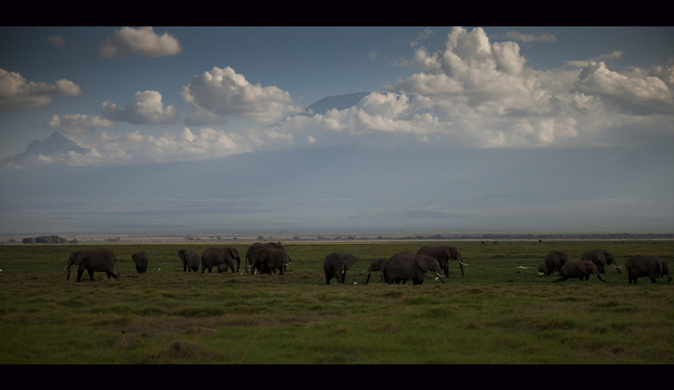 <strong>Kenya.</strong> Amboseli beauty. Here I really felt the Africa wildness. I love the immensity of the Kilimanjaro in the background. Image: Sbrizzi