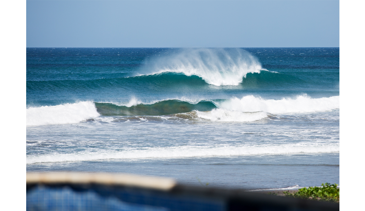 Framed up. Mark and Dave’s didn’t disappoint.  Photo: <a href=\"http://www.maxxbuchanan.com/\">Maxx Buchanan</a>