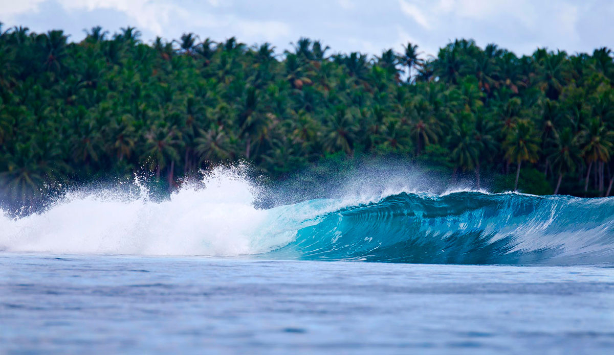 A beautiful, clean swell roared through. Photo: <a href=\"http://www.shootingdownthebarrel.com/\">Nico Palacios</a>