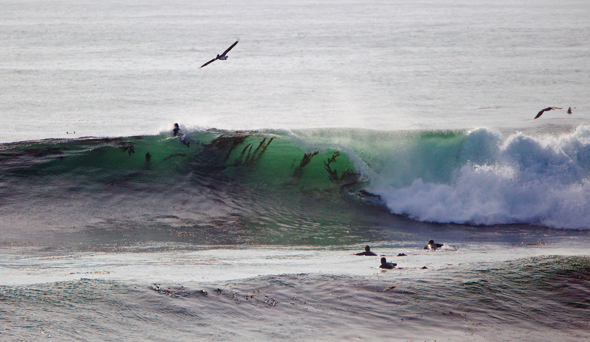 Santa Cruz. Photo: <a href=\"https://instagram.com/mfarkas\">@mfarkas</a>