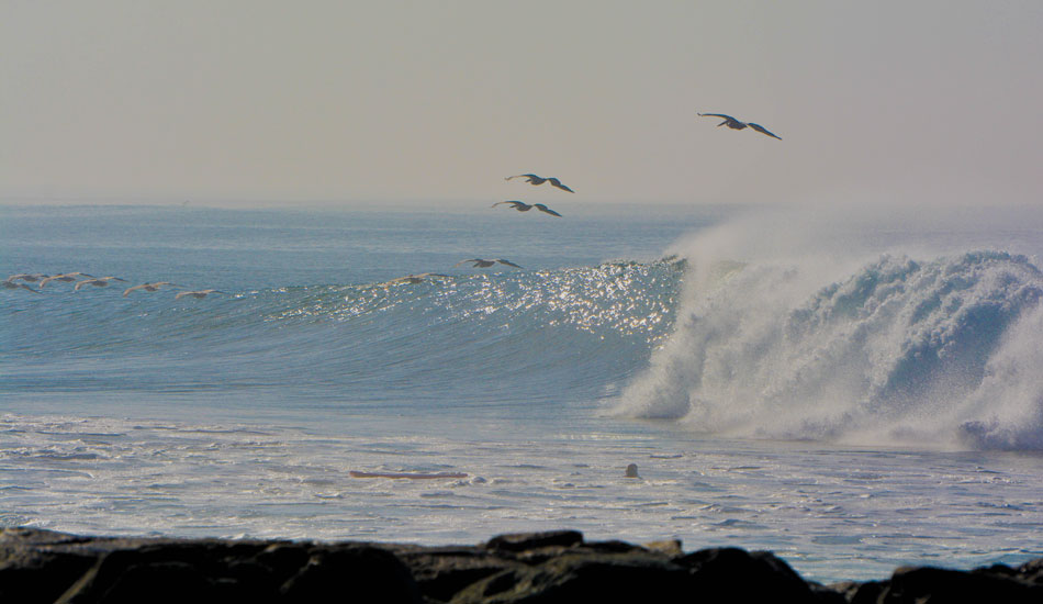 Caught in the zone. Photo: <a href=\"http://www.mikearonesty.com\">Mike Aronesty</a>