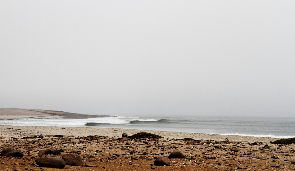 Yes.  This is Namibia.  And that black stain in the background is 80,000 seals.