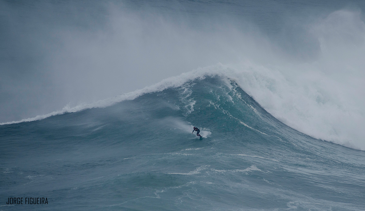 Andrew Cotton. Photo: Jorge Figueira