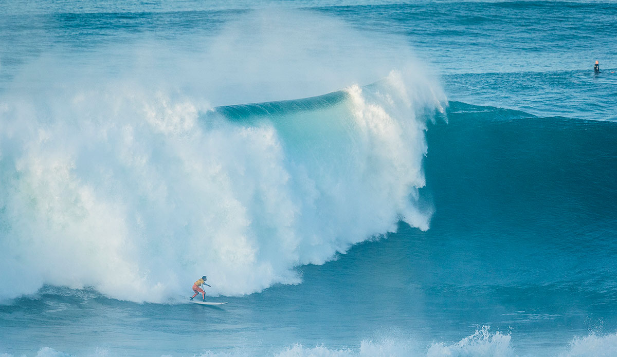 Porcella. Image: Poullenot/WSL