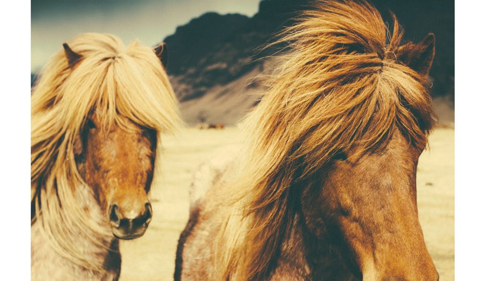 Freedom is found in the wild. Rural Iceland.  Photo:<a href=\"http://www.colinnearman.com\">Colin Nearman</a>