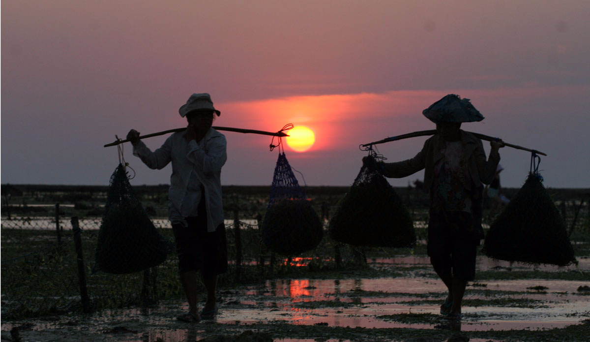 The sun sets on another perfect day in Indonesia.