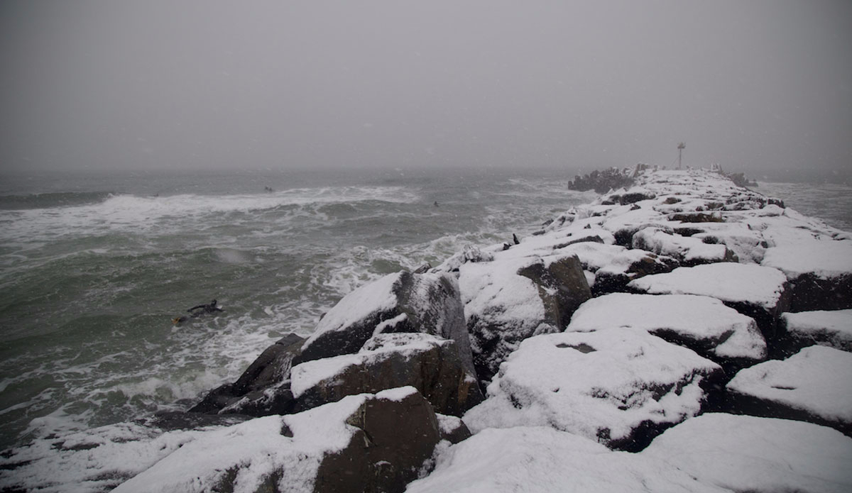 The line up at the jetty during a January snowfall. Photo: <a href=\"http://michaelguccione.smugmug.com/\"> Michael Guccione</a>