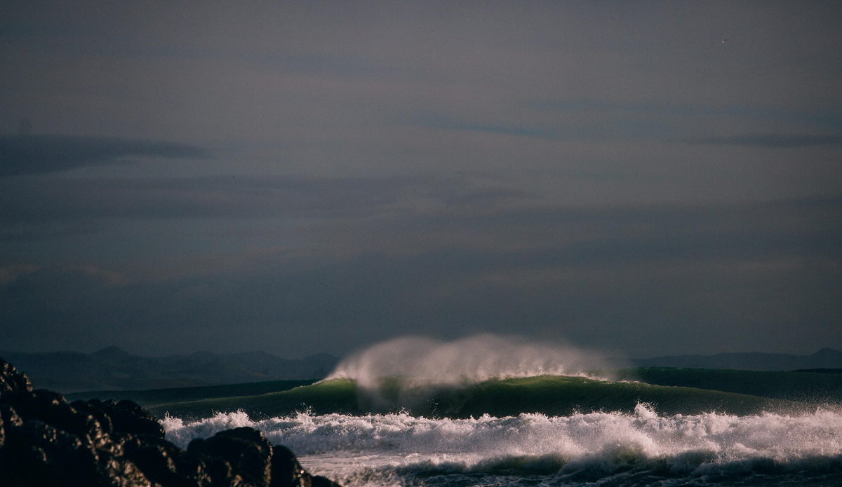 A lonesome one in the distance. Photo: <a href=\"http://www.jdsmit.co.nz\">Jono Smit</a>