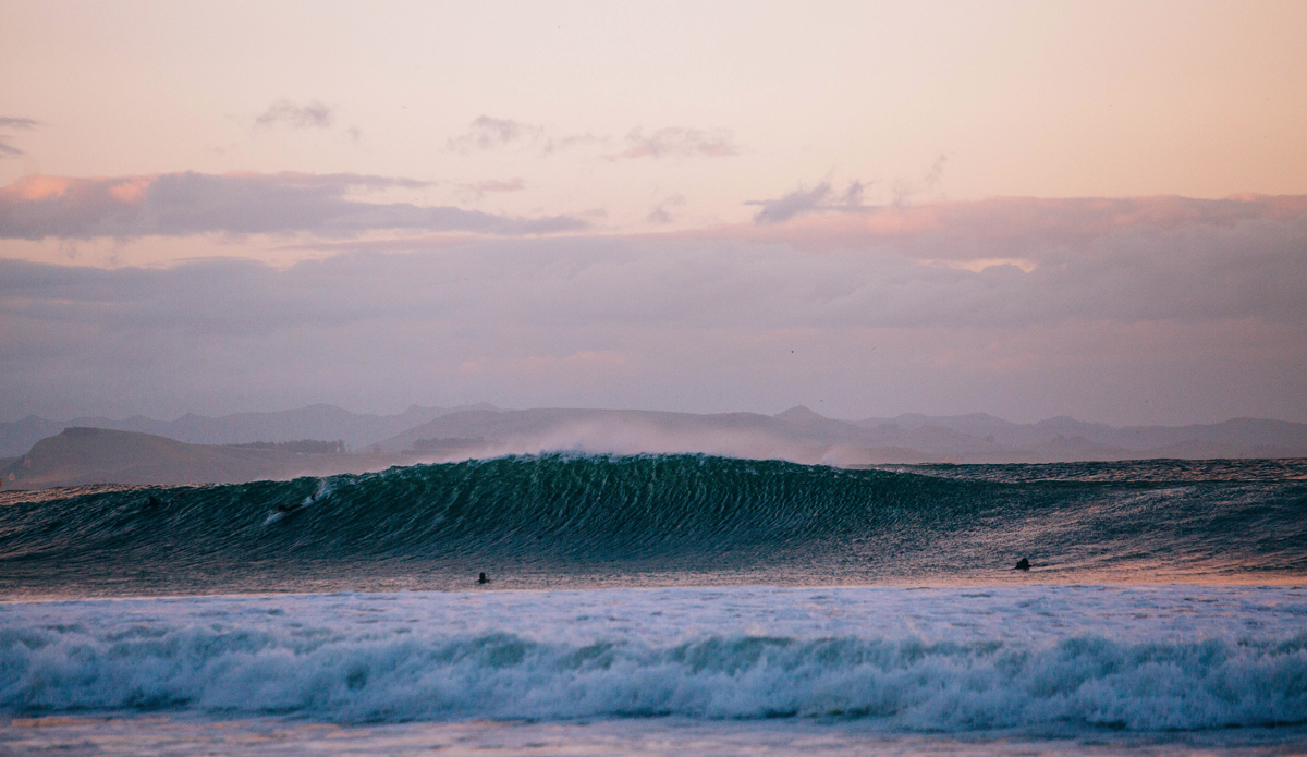 Delicious southern wall. Photo: <a href=\"http://www.jdsmit.co.nz\">Jono Smit</a>