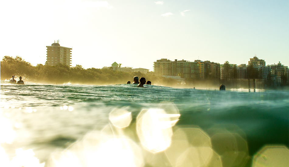 Golden light and Bokeh. Photo: <a href=\"http://www.thetypewriterboy.com/\"> Nico Beighton</a> 