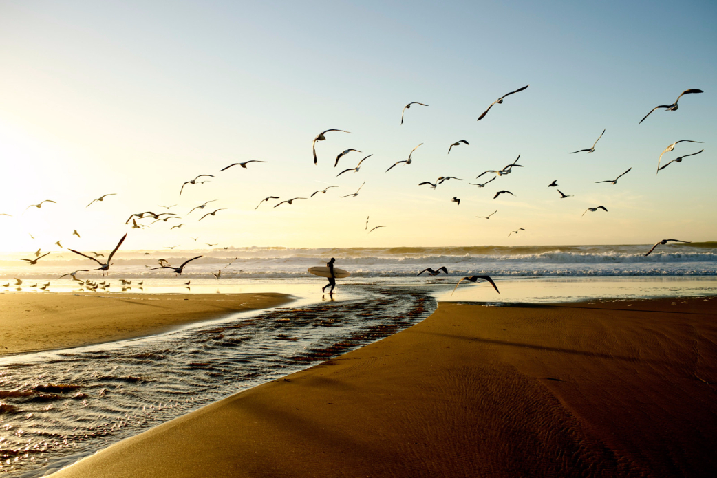 Photo: Morgan Maassen