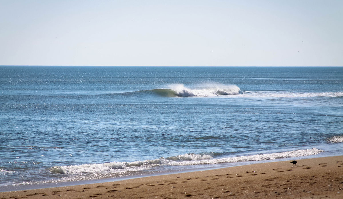 Pristine conditions and small swell at the contest site of Eckner Street in Kitty Hawk, N.C. Photo: John Streit