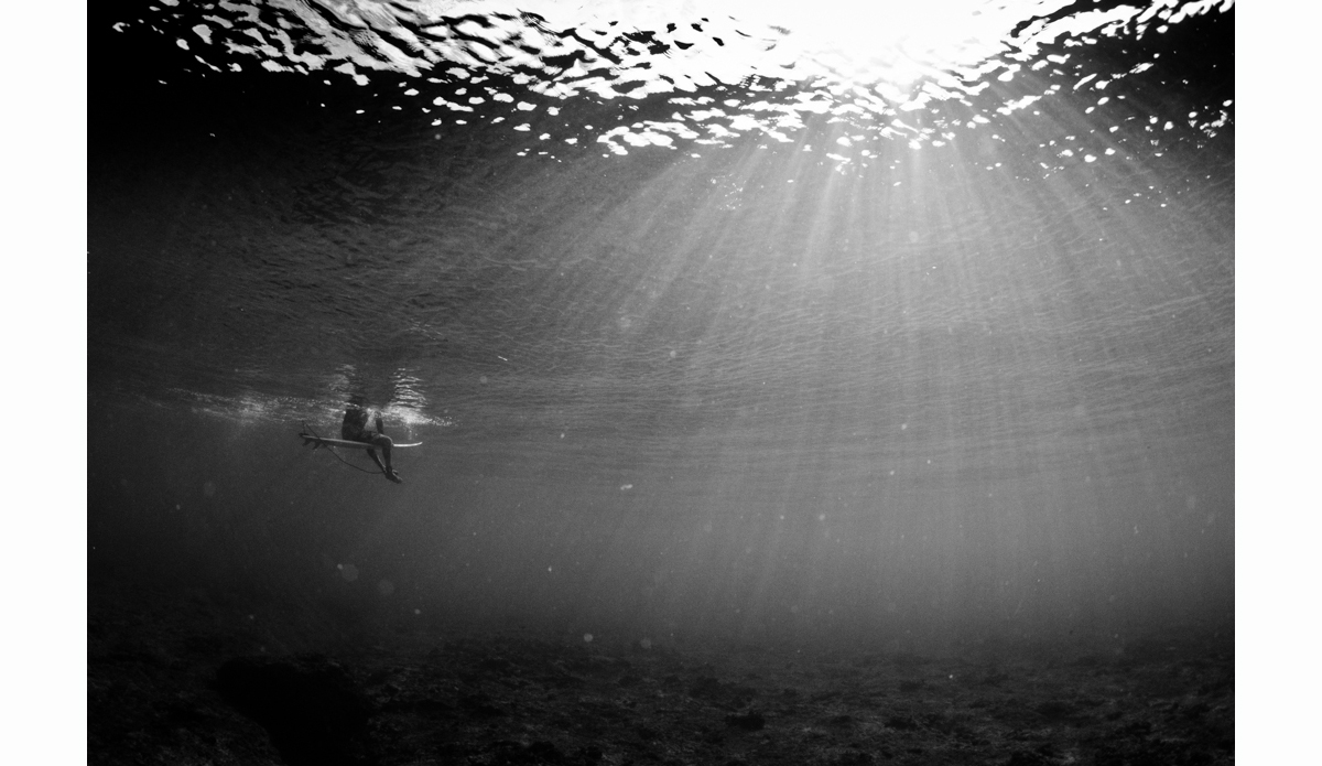 Into the Abyss Photo: <a href=\"http://haydenoneillphoto.com/\">Hayden O\'Neill</a>