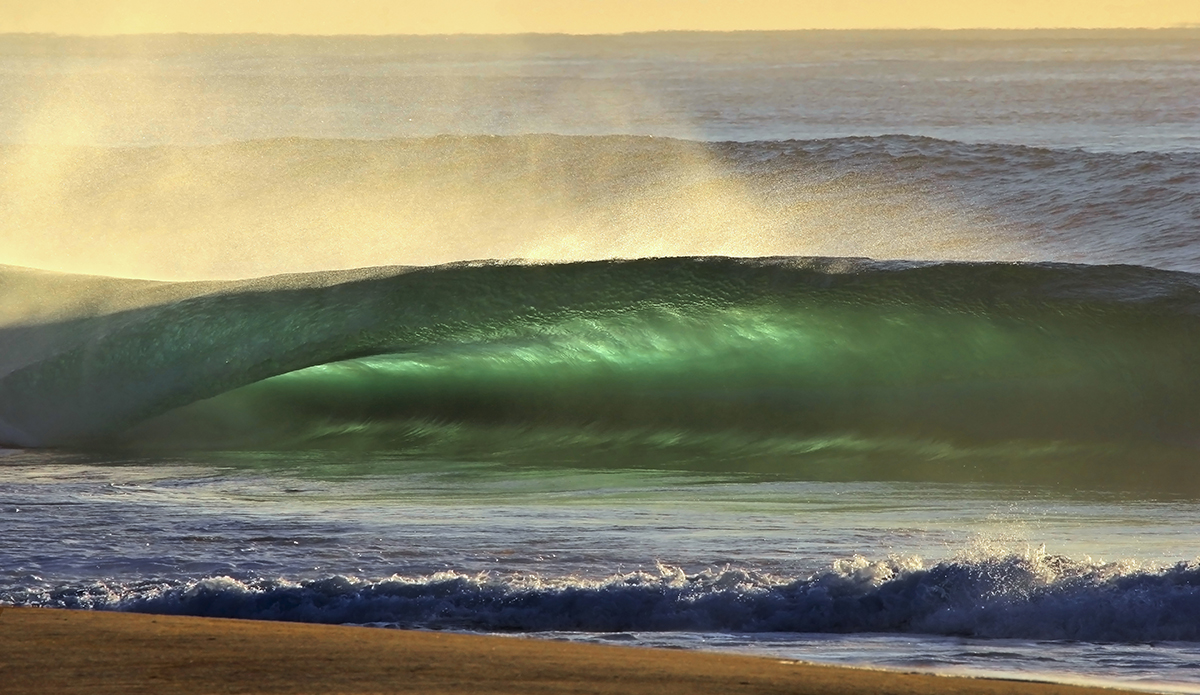 Green goblin flaring. Photo: <a href=\"http://www.hollytreephoto.com/\" target=\"_blank\">Holly Shoebridge</a>