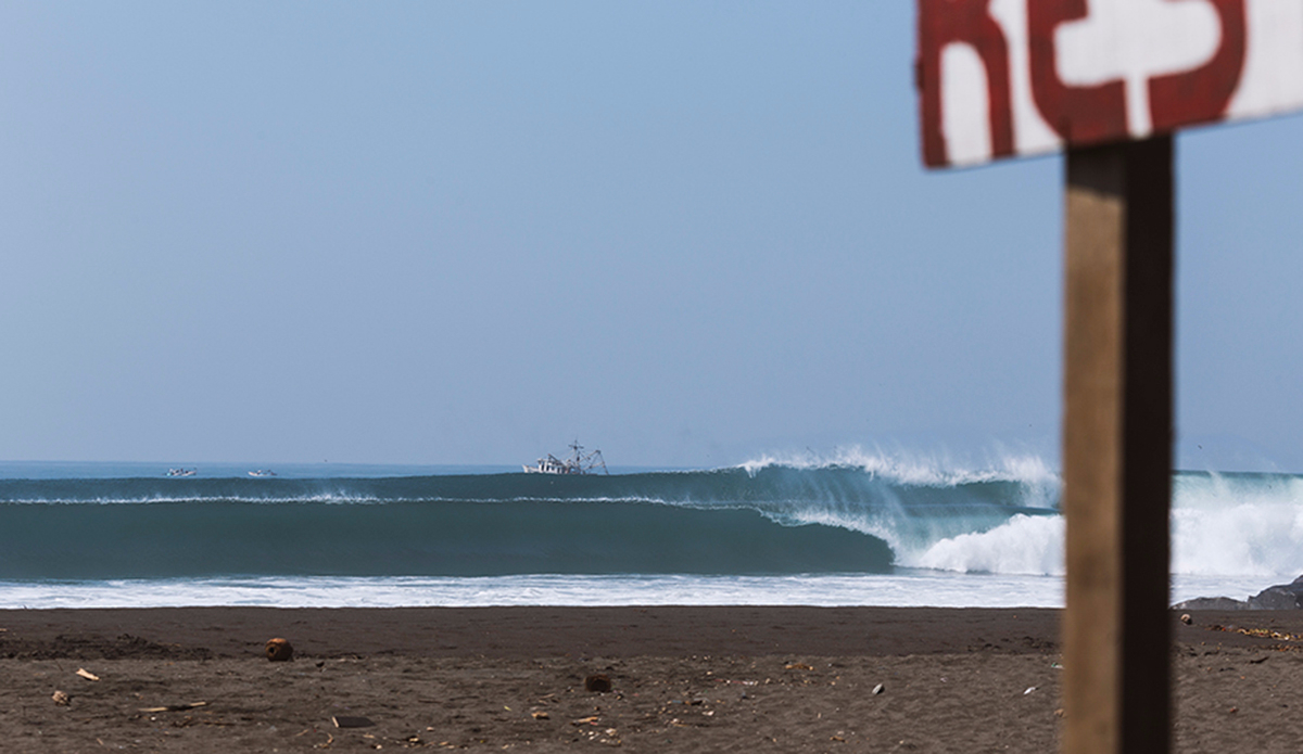 Majestic double trouble. Photo: <a href=\"http://www.kheperphoto.com/\">Paola Núñez Linares</a>