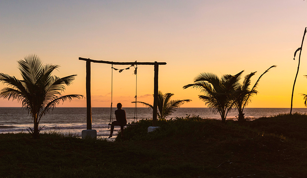 Sometimes all you can do is observe. Photo: <a href=\"http://www.kheperphoto.com/\">Paola Núñez Linares</a>