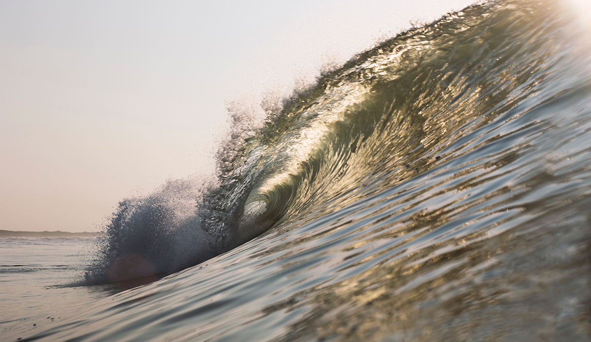 This sight will make even the toughest of surfers swoon. Photo: <a href=\"http://www.kheperphoto.com/\">Paola Núñez Linares</a>