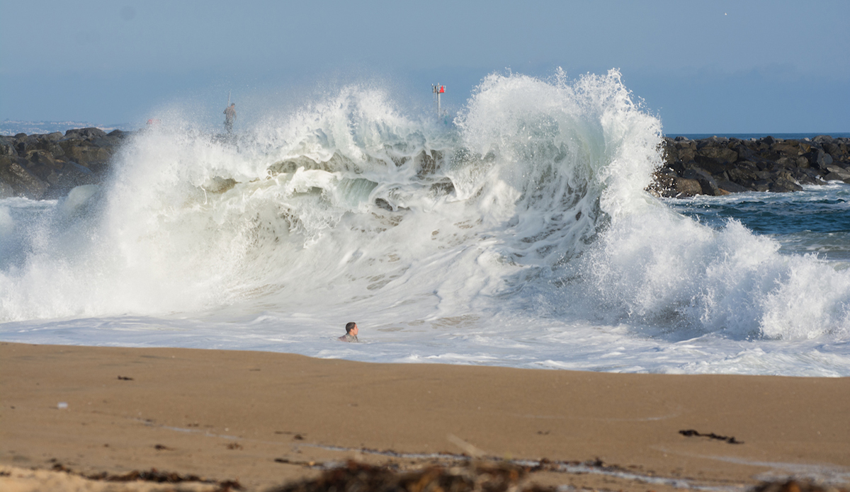 Wedge showing its teeth. Photo: <a href=\"https://www.flickr.com/photos/patnolan\">Pat Nolan</a>