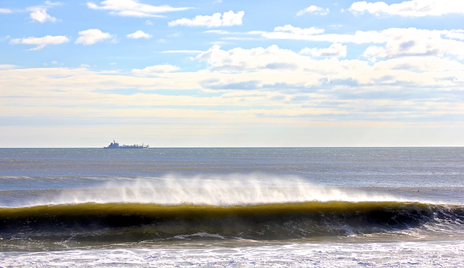 New Jersey Gem. Photo: <a href=\"http://petemilnesproductions.com\">Pete Milnes</a>