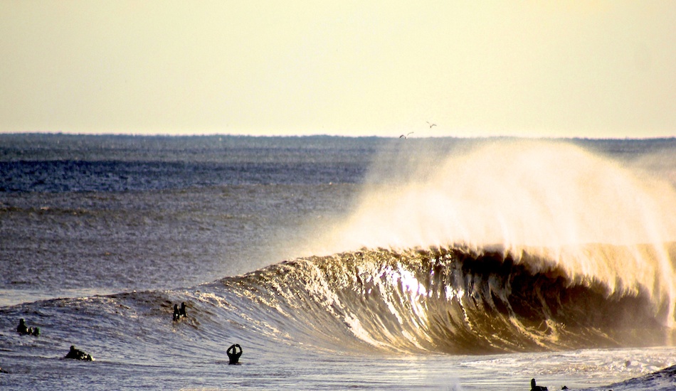 Struck gold in NJ. Photo: <a href=\"http://petemilnesproductions.com\">Pete Milnes</a>