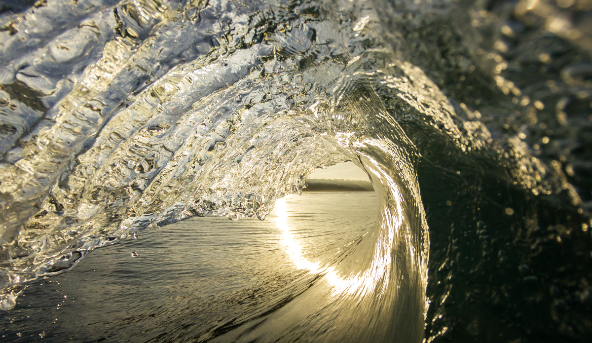 Early fall mornings always make for the best light. Photo: <a href=\"http://www.prprstndrd.com/\"> Trevor Pikhart</a>