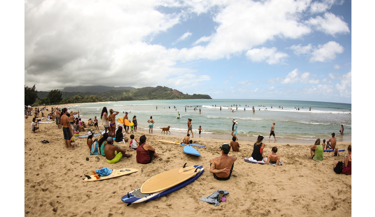 A perfect beach day. Photo: <a href=\"http://www.danegrady.com/\">Dane Grady</a>