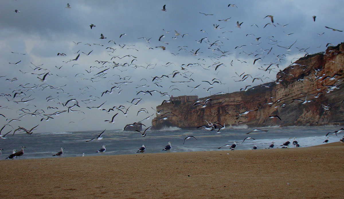 The calm before the storm. Photo: <a href=\"https://www.facebook.com/jose.pinto.31521\">Jose Pinto</a>