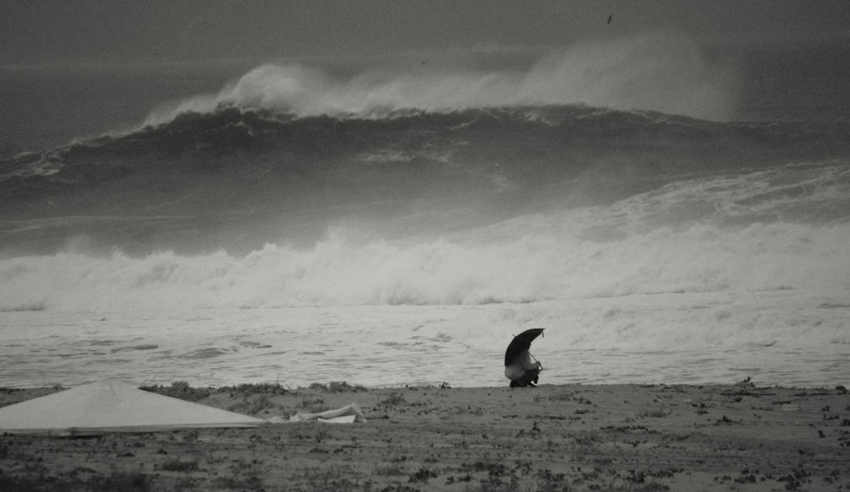 Shelter from the storm. Photo: <a href=\"https://www.facebook.com/jose.pinto.31521\">Jose Pinto</a>