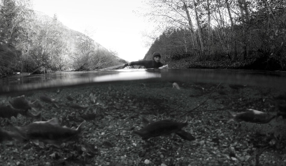 Raph Bruhwiler paddling downstream to surf while salmon are heading up to spawn. Photo: <a href=\"http://www.adamdewolfe.com/Intro.html\" target=_blank>Adam Dewolfe.</a>
 