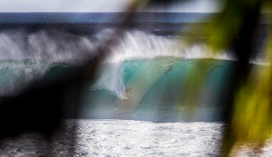 Pipeline through the trees from a tall view. Photo: <a href=\"http://500px.com/DougFalterPhotography\">Doug Falter</a>