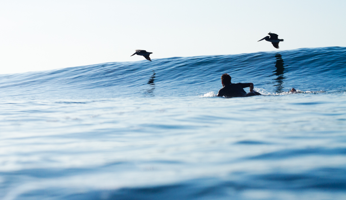 Some of my very favorite shots often don’t have huge hacks, deep barrels, or amazing airs. Here’s surfer Matt Hoffman getting vibed by the locals in Malibu, California. Photo: <a href=\"http://www.maxxbuchanan.com/\">Maxx Buchanan</a>