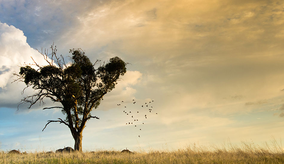 As I study pretty far from the coast in Wagga Wagga, I tend to just capture things around the sunset. This was possibly one of the most calm sunsets, and then luck struck and I timed this shot perfectly. Photo: <a href=\"http://www.twhyphotography.com\">Tyhe Reading</a>