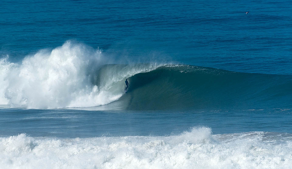 Photo: Nuno Nóbrega/Beachcam