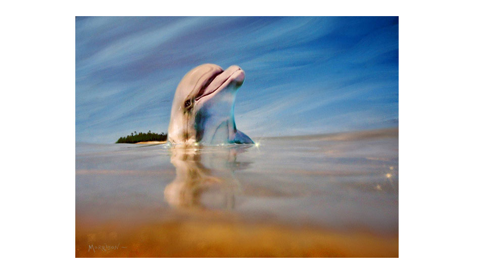 The Dolphin. Photo: <a href=\"http://www.envirosurfartseries.com\" target=_blank>Richard Morrison</a>