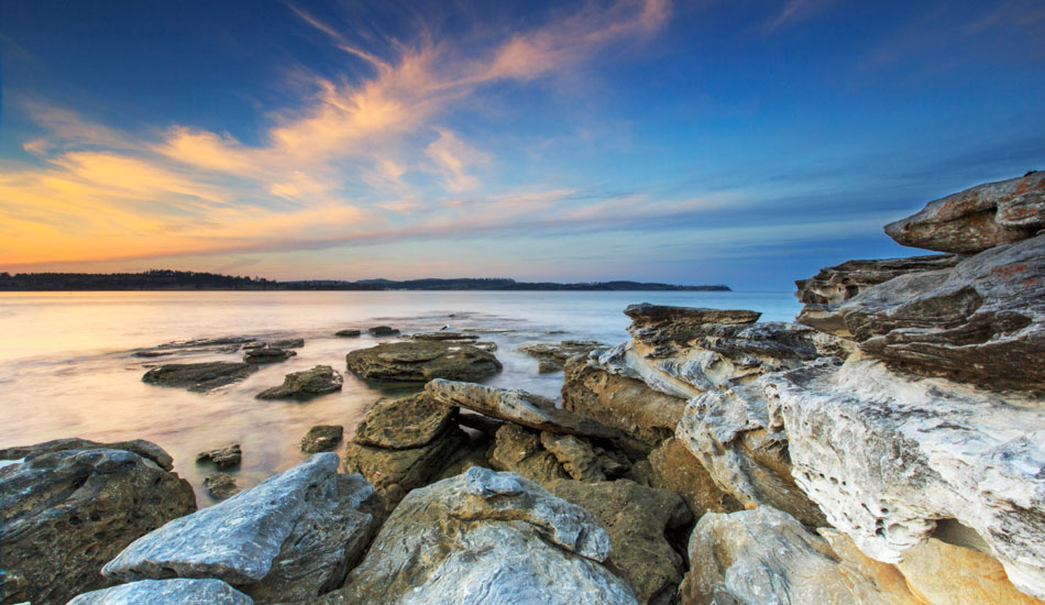 Seagulls chilling at a gorgeous sunset, Orford, Tasmania. Photo:<a href=\"http://www.rickileigheaves.com.au\"> Ricki Eaves<a/>