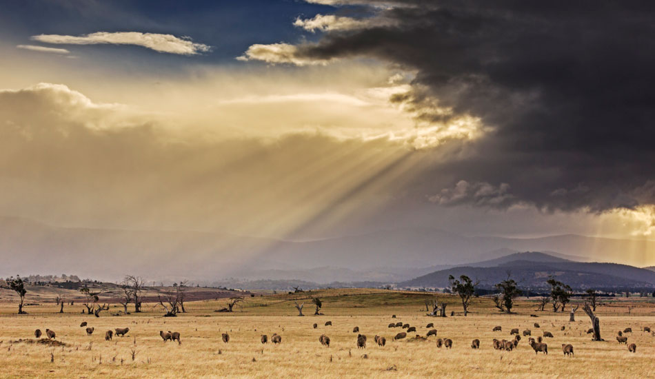 I was driving the highway from Launceston to Hobart and had to stop for this sight. Oatlands, Central Midlands, Tasmania. Photo:<a href=\"http://www.rickileigheaves.com.au\"> Ricki Eaves<a/>