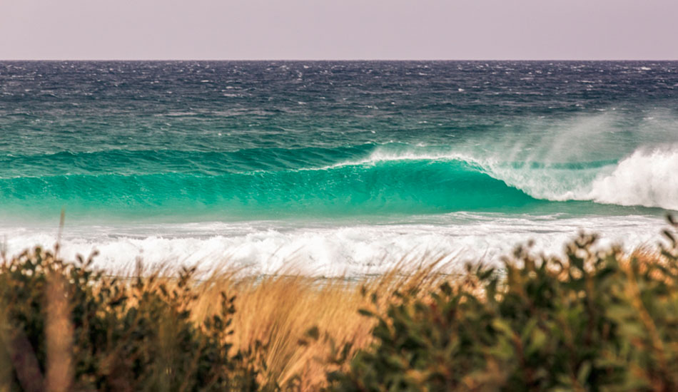 Have to love this water at The Gardens, East Coast, Tasmania. Photo:<a href=\"http://www.rickileigheaves.com.au\"> Ricki Eaves<a/>