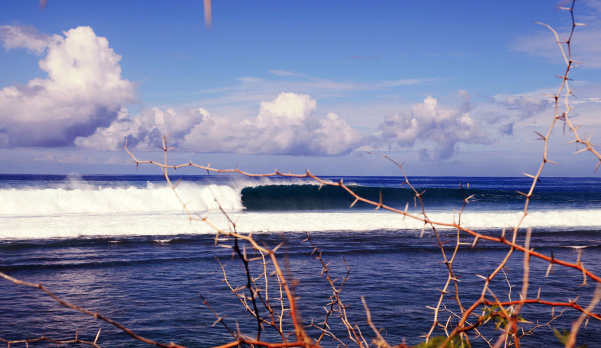 Overhead and beautiful. Photo: <a href=\"http://Instagram.com/simonjayphotos\" target=\"_blank\"> Simon Rickwood</a>