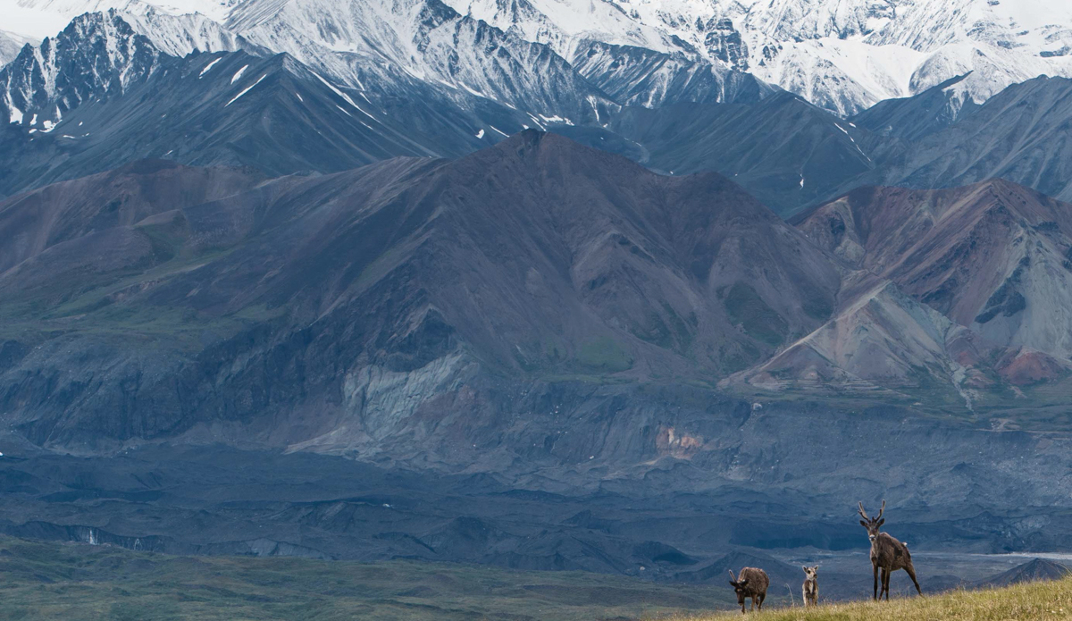 Friends in the wilderness. Photo: <a href=\"https://instagram.com/matty_hannon/\">Matty Hannon</a>