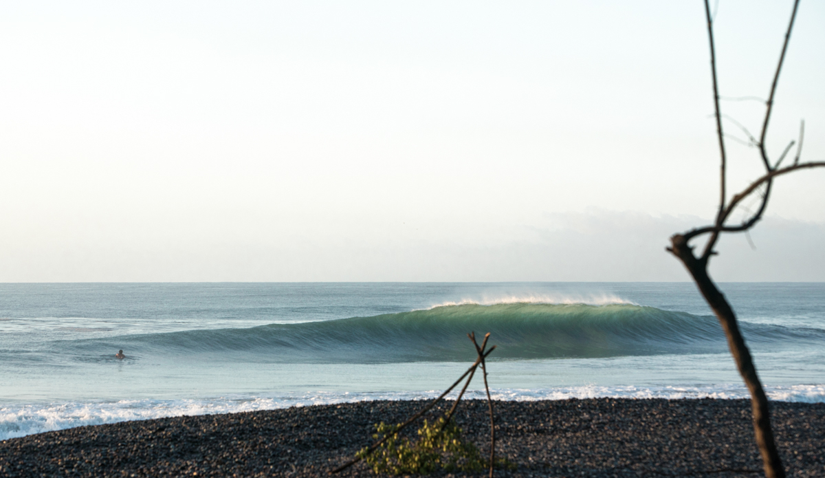 Tubes for breakfast. Photo: <a href=\"https://instagram.com/matty_hannon/\">Matty Hannon</a>