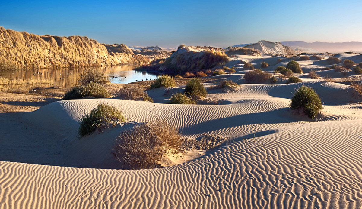 Pismo Dunes, Central Coast California. Photo: <a href=\"www.californiametalphoto.com\">Robert Eovaldi</a>