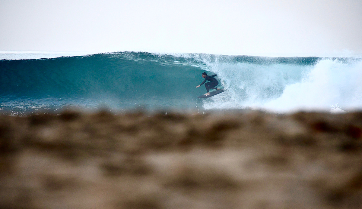 Brad Lancaster. Photo: Robb Wilson 