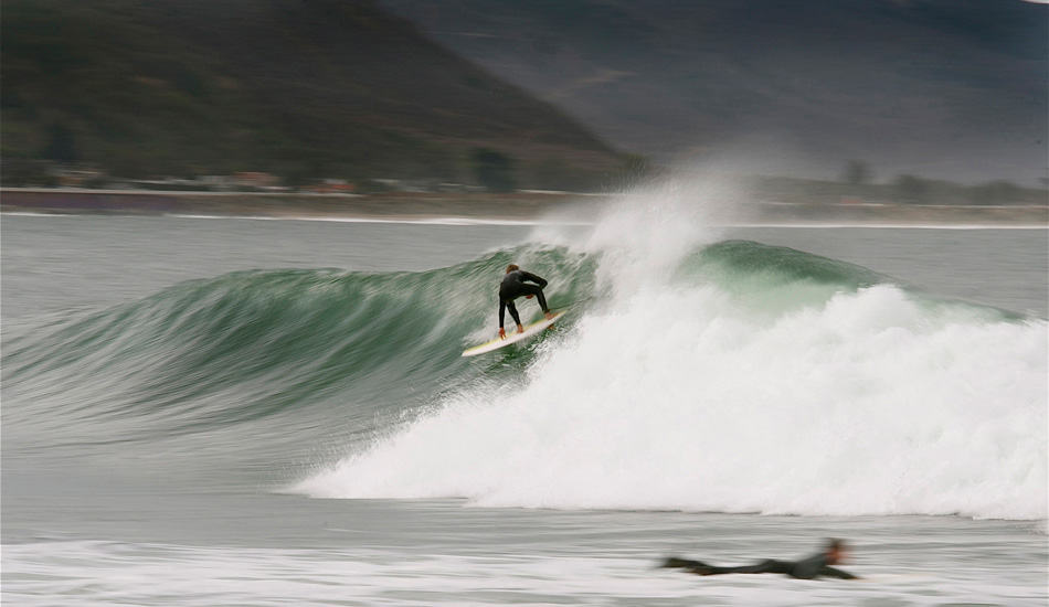 High line creeper. Photo: Robb Wilson