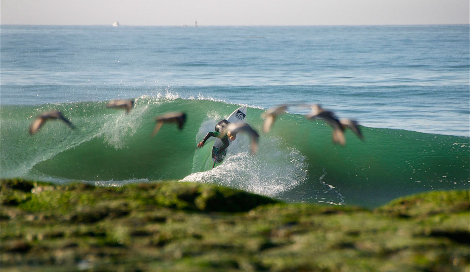 I hate when I\'m bird watching and those dang surfers get in the way. Austin Smith-Ford. Photo: Robb Wilson