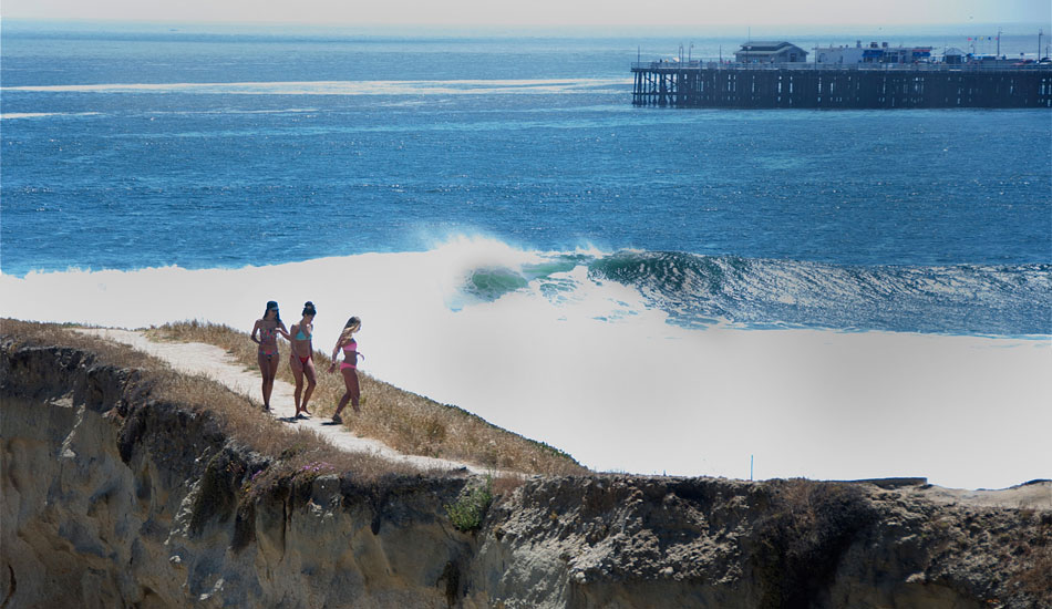 Santa Cruz in fine form. Photo: Robb Wilson